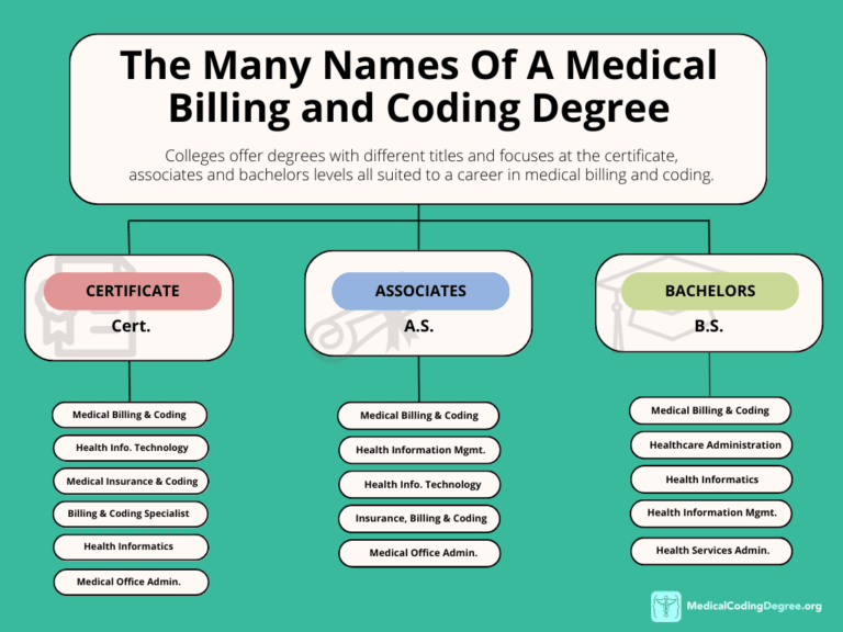 Guide To Online Medical Billing And Coding Degrees (2023)